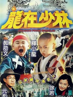 热门影视